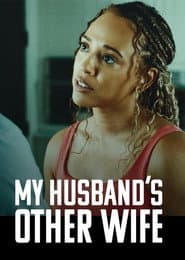 My Husband's Other Wife poster