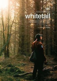 Whitetail poster