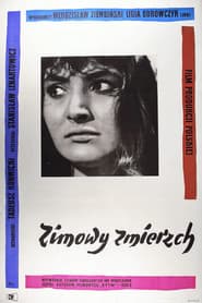 Winter Twilight poster