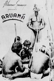 Aruanã poster