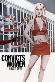 Bust Out poster