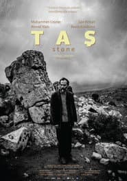 The Stone poster