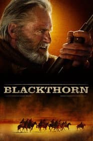 Blackthorn poster