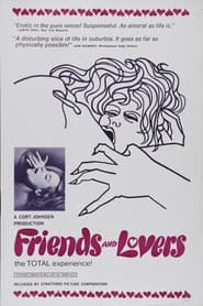 The Vixens poster