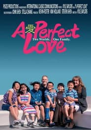 A Perfect Love poster