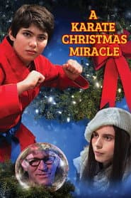 A Karate Christmas Miracle poster