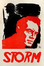 Storm poster