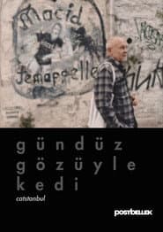 Catstanbul poster
