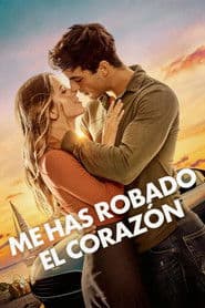 You Stole My Heart poster