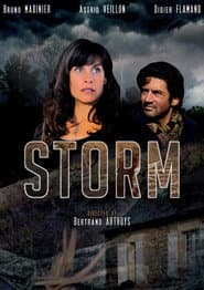 Storm poster