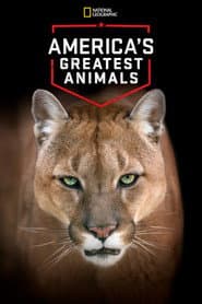America's Greatest Animals poster