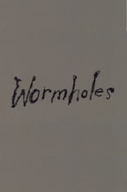 Wormholes poster