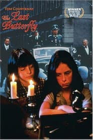The Last Butterfly poster