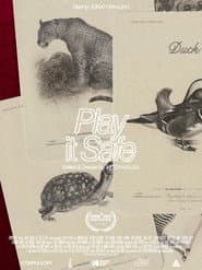 Play It Safe poster
