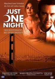Just One Night poster