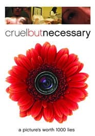 Cruel But Necessary poster