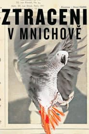 Lost in Munich poster