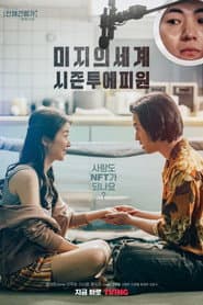 Parallel Adventure of Madam Mizy poster