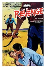 Revenge poster