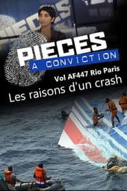 Pièces à conviction - Vol AF447 Rio Paris - Les raisons d'un crash poster
