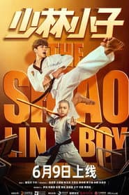 The Shaolin Boy poster