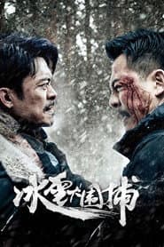 Snowstorm poster