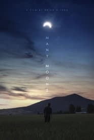 Many Moons poster