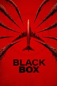 Black Box (Flight 298) poster