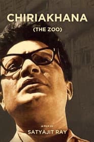 The Zoo poster