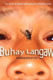 Autobiography of a Fly poster