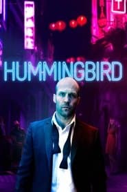 Hummingbird poster