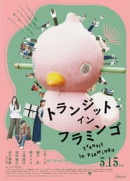 Transit in Flamingo poster