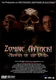 Zombie Attack: Museum of the Dead poster