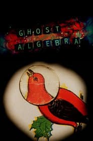 Ghost Algebra poster