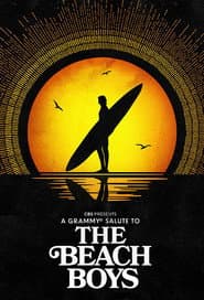 A Grammy Salute to The Beach Boys poster