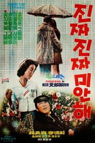 Really Sorry poster