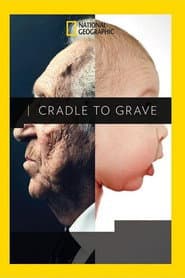 Cradle to Grave poster