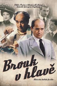 Brouk v hlavě poster