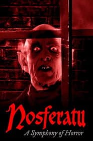 Nosferatu. A Symphony of Horror poster