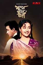 The Delayed Journey poster