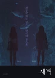 Dawn to Dawn poster