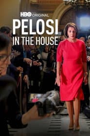 Pelosi in the House poster