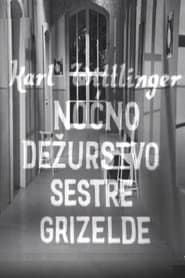 Nurse Griselda's Night Watch poster