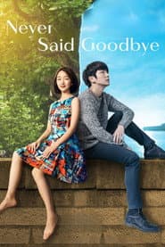 Never Said Goodbye poster