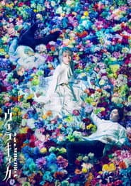 Musical “VERACHICCA” poster