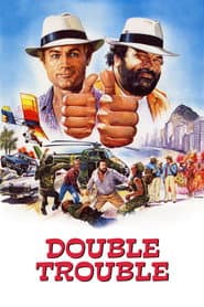 Double Trouble poster