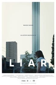 Liar poster
