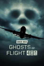 Ghosts of Flight 401 poster