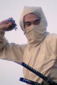 Re-Enter the 'New York Ninja' poster