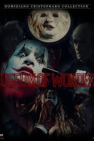 The Museum Of Wonders poster